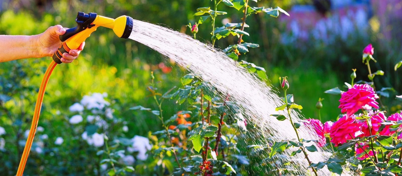 Vanning i borettslag og sameier