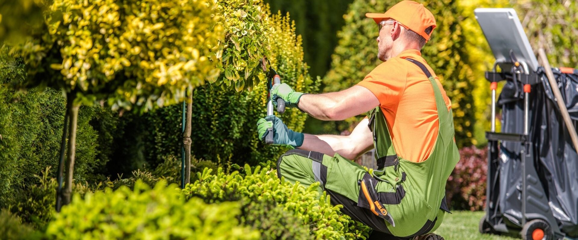 gartnertjenester for borettslag og sameier