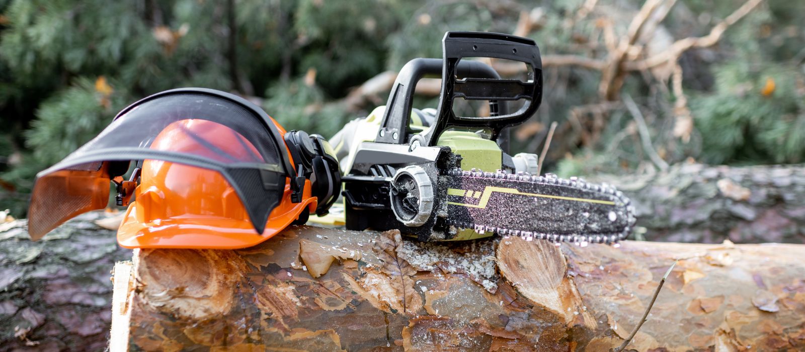 Trefelling i borettslag og sameier